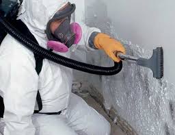 Best Biohazard Mold Removal  in Henrietta, TX